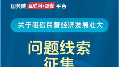 极品bav.com国务院“互联网+督查”平台公开征集阻碍民营经济发展壮大问题线索